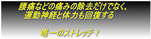 　　痛みの除去だけでなく、 運動神経と体力も回復する  　　唯一のストレッチ！