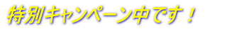 特別キャンペーン中です！
