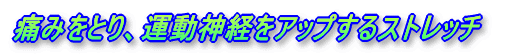 痛みをとり、運動神経をアップする新ストレッチ